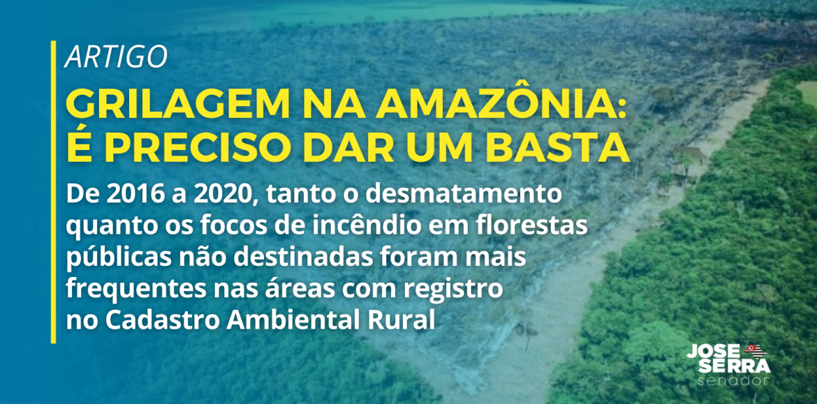 Grilagem na Amazônia: é preciso dar um basta